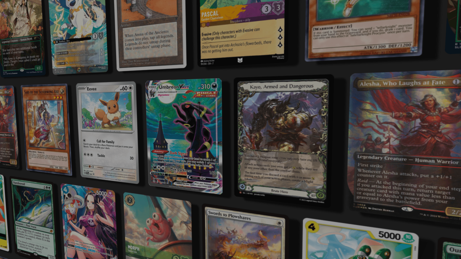 Sorted — TCG Collection Manager